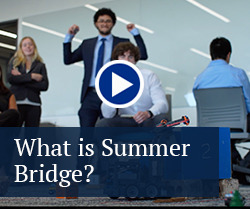 summer bridge button