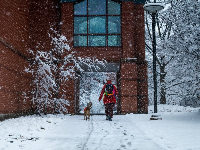 A woman walking with her dog in the snow